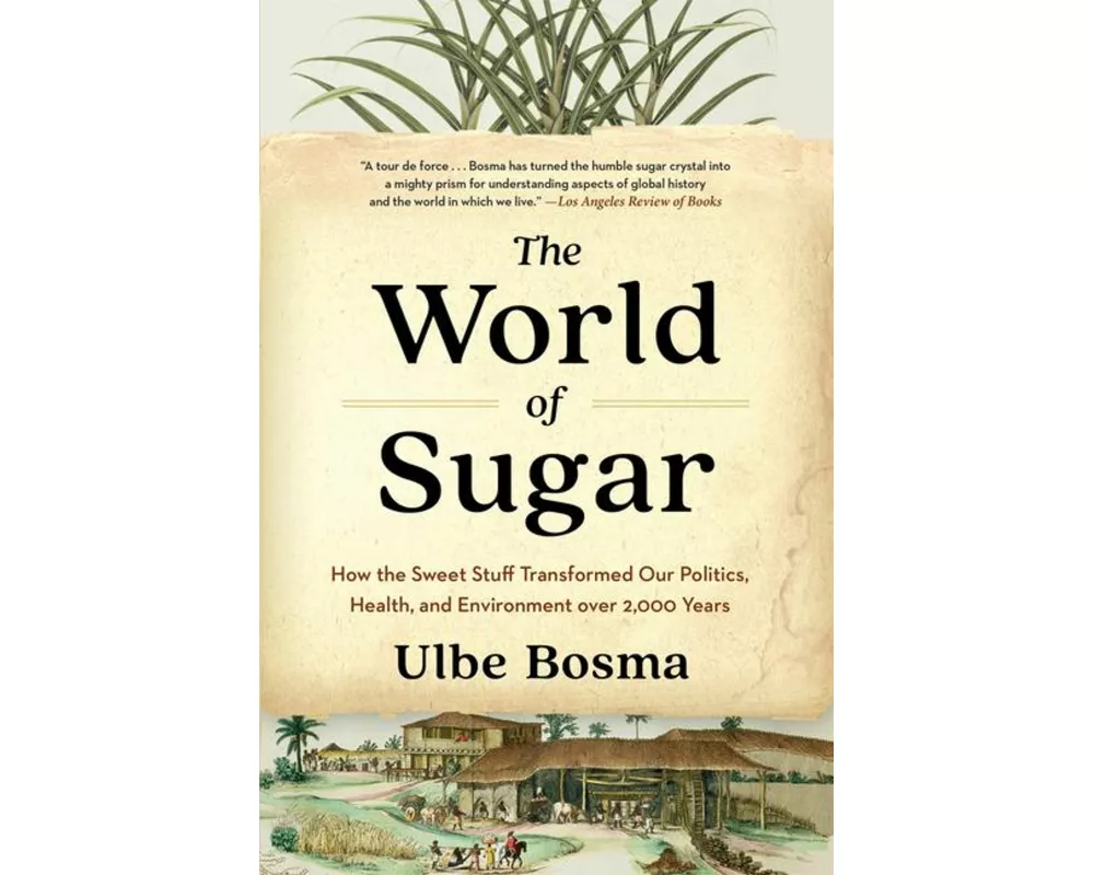 The World of Sugar