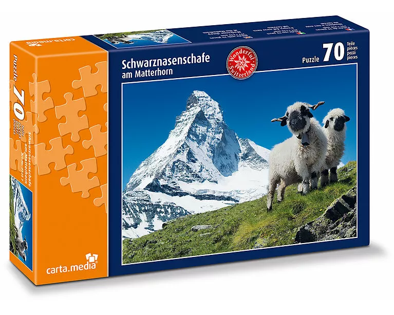 Schwarznasenschafe am Matterhorn