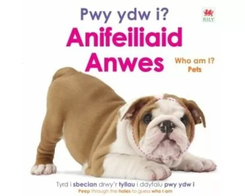 Pwy ydw i? Anifeiliaid Anwes / Who Am I? Pets