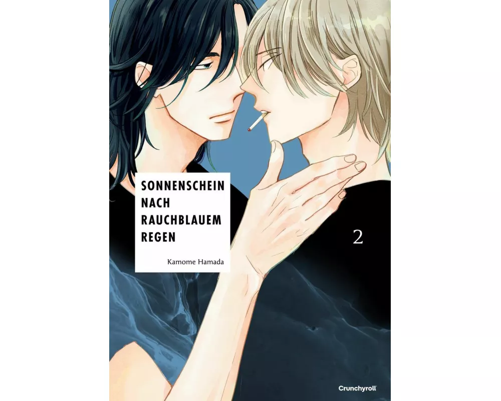 Sonnenschein nach rauchblauem Regen – Band 2