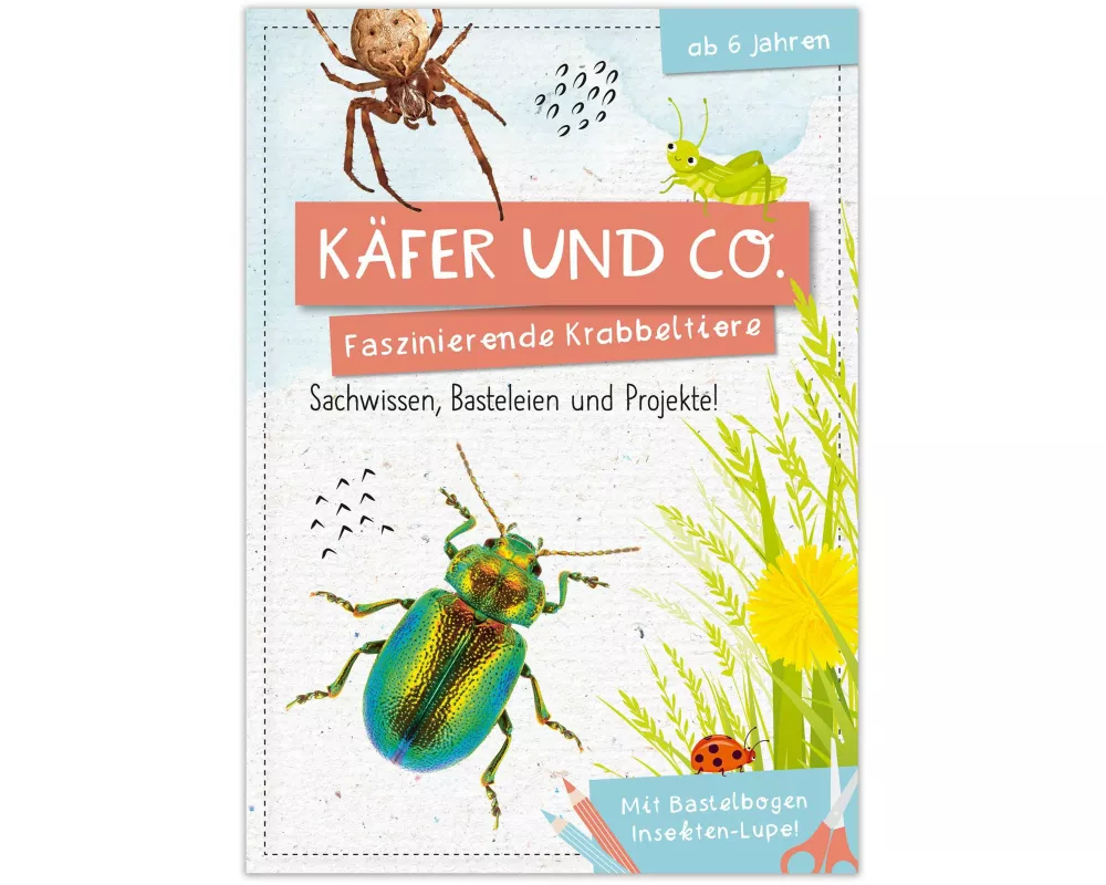 Activity Heft: Käfer und Co