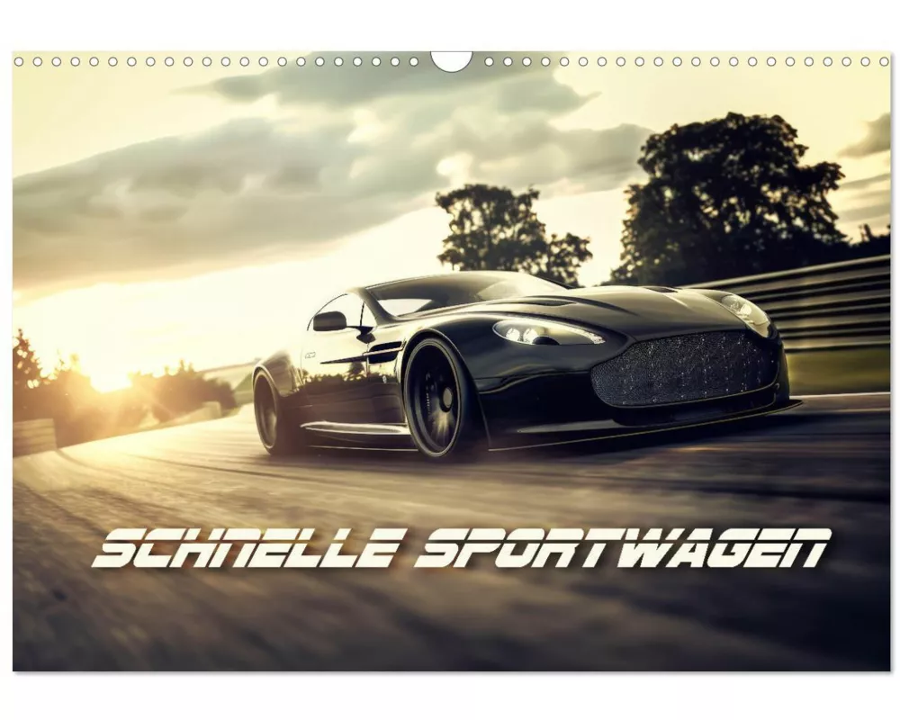 Schnelle Sportwagen (Wandkalender 2025 DIN A3 quer), CALVENDO Monatskalender