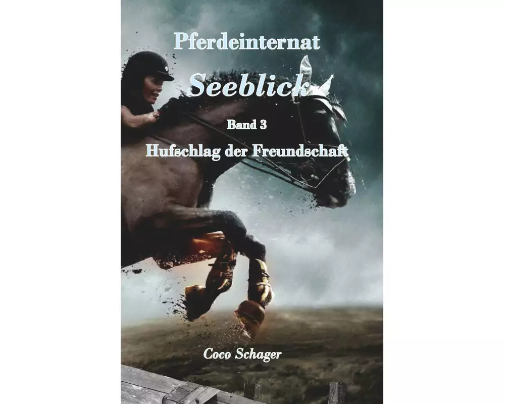 Pferdeinternat Seeblick Band 3
