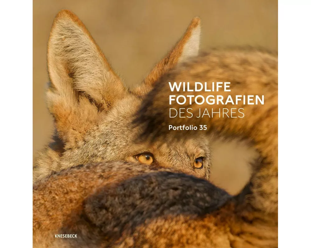 Wildlife Fotografien des Jahres - Portfolio 35