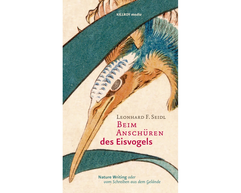 Beim Anschüren des Eisvogels