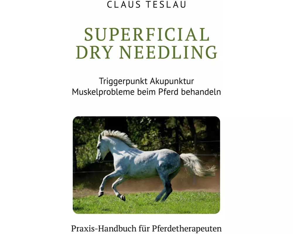 Superficial Dry Needling