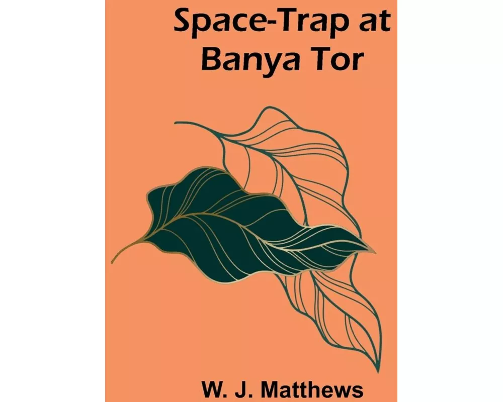 Space-Trap at Banya Tor