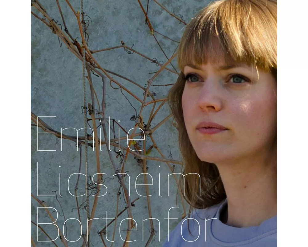 Bortenfor
