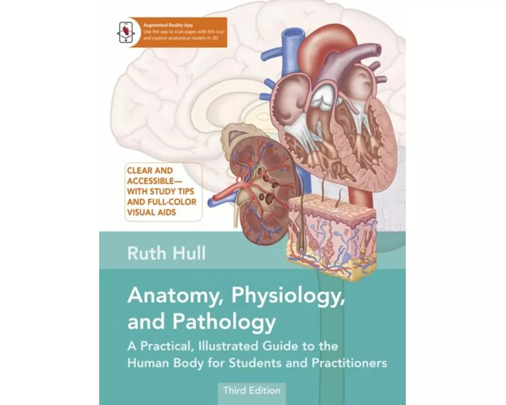 Anatomy, Physiology, and Pathology