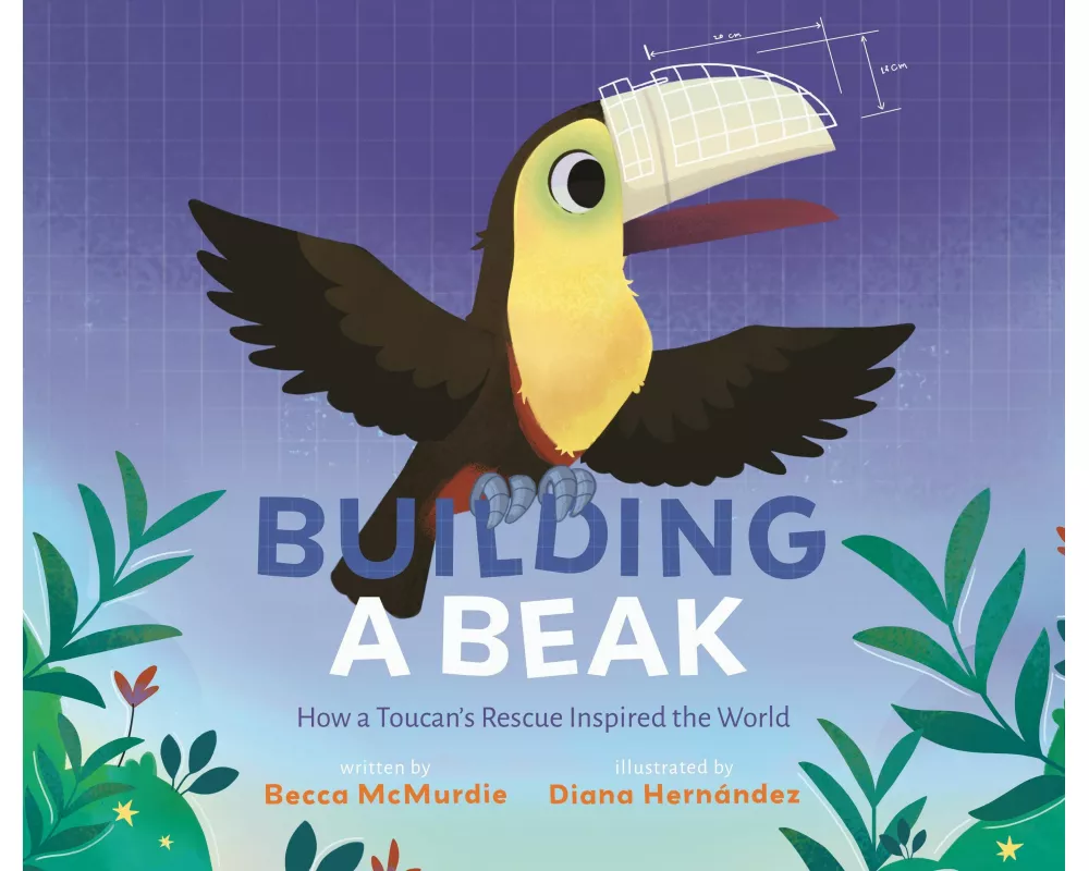 Building a Beak