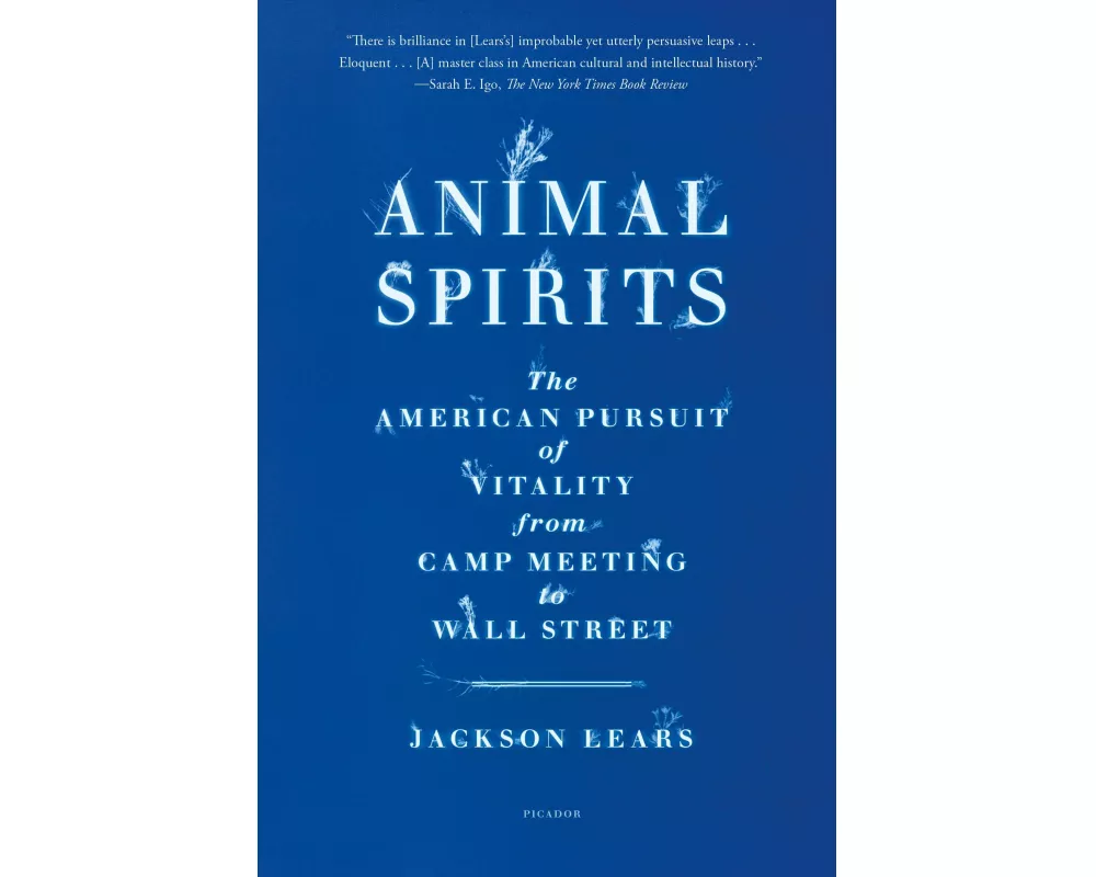 Animal Spirits