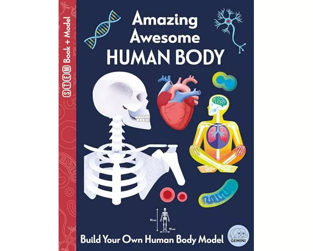 Amazing Awesome Human Body