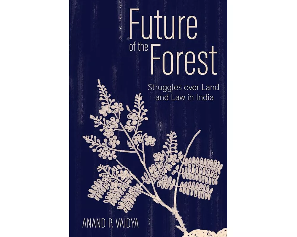 Future of the Forest