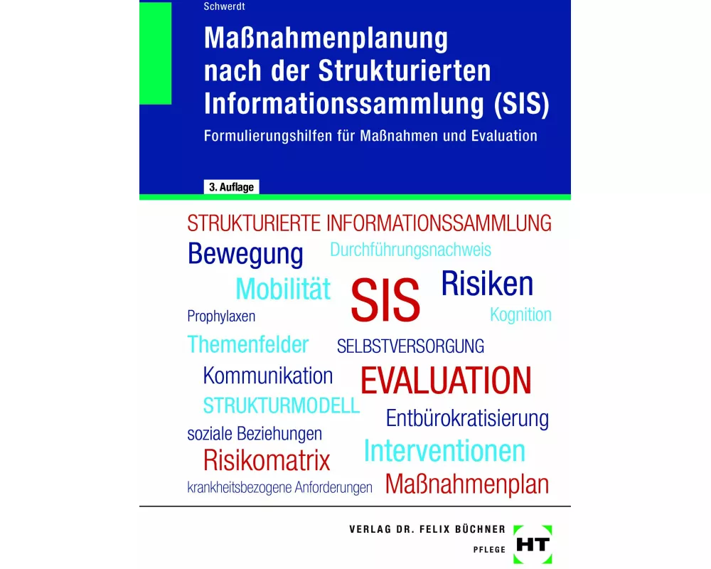Maßnahmenplanung nach der Strukturierten Informationssammlung (SIS)