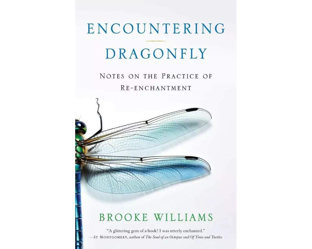 Encountering Dragonfly