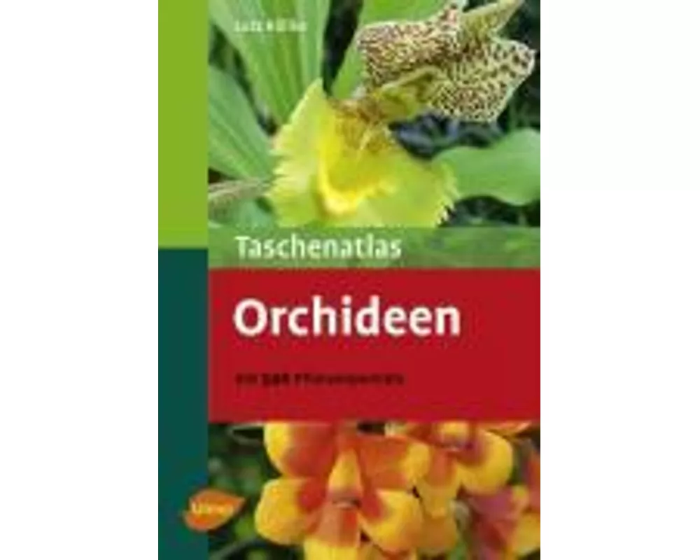Orchideen