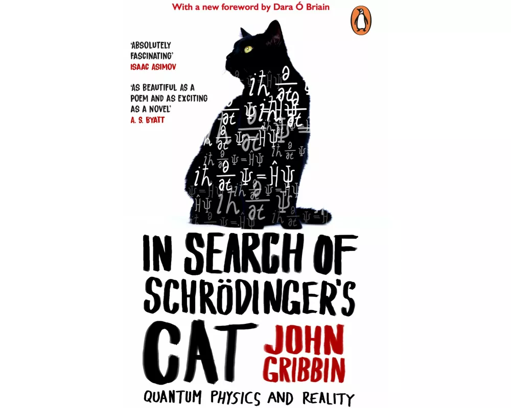 In Search Of Schrodinger's Cat