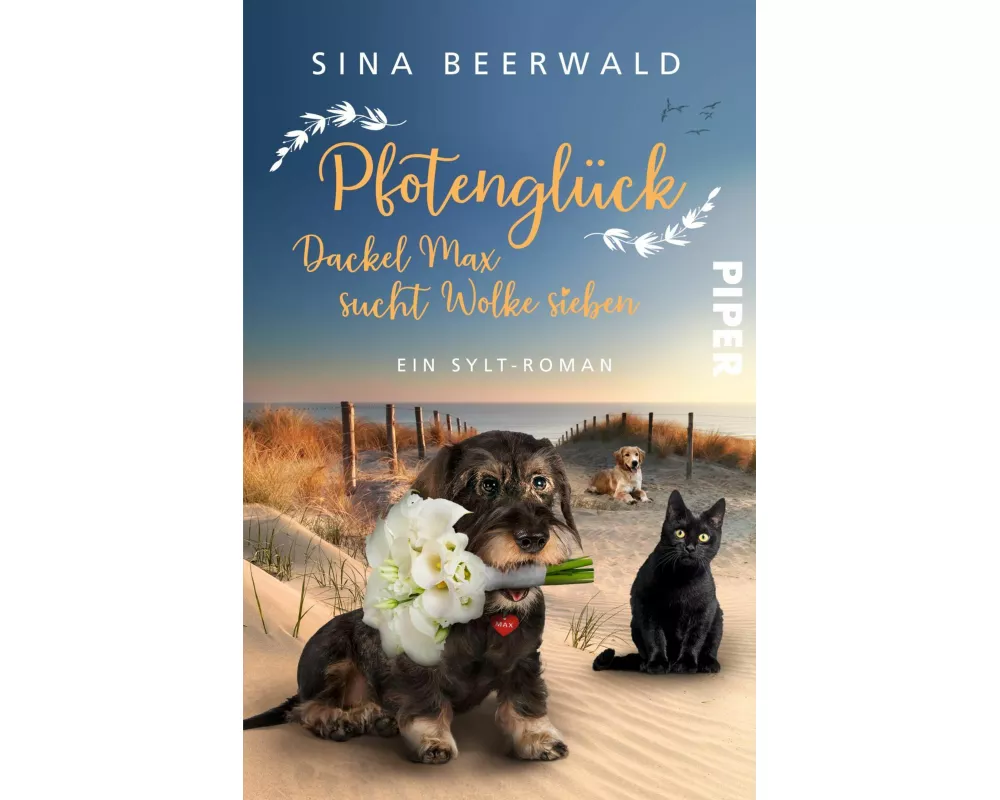 Pfotenglück – Dackel Max sucht Wolke sieben