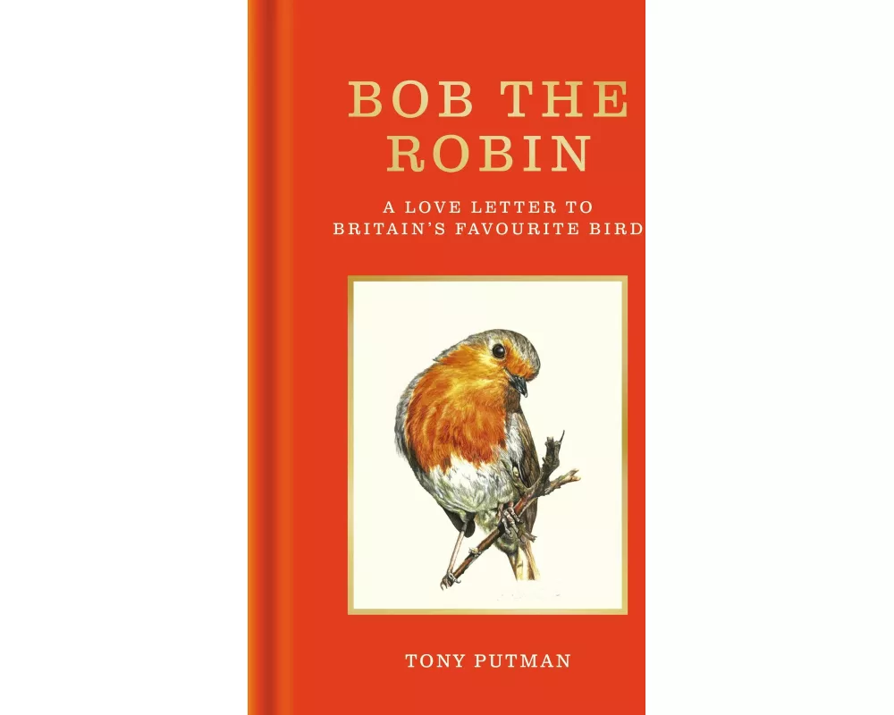 Bob the Robin