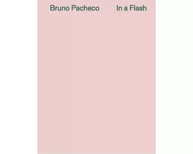 Bruno Pacheco. In a Flash