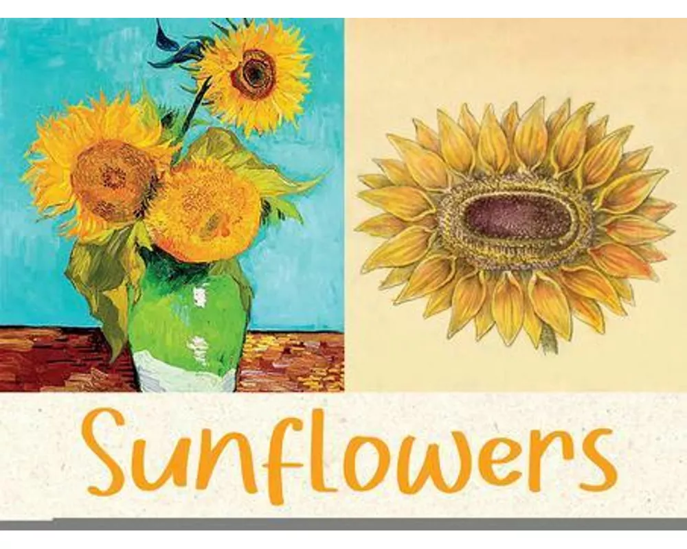 Sunflowers - 12 Blank Note Cards