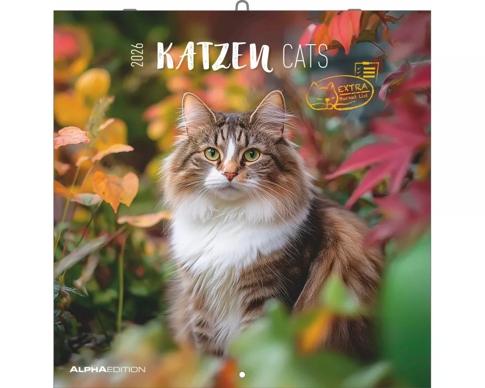 Alpha Edition - Katzen Kalender 2026 – Broschürenkalender 30x30 cm (30x60 cm geöffnet) – Wandkalender & Bildkalender für Katzenliebhaber – mit Feierta