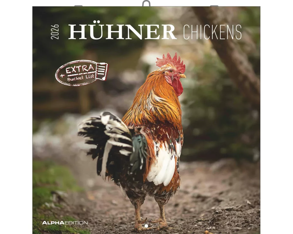 Alpha Edition - Hühner 2026 – Broschürenkalender 30×30 cm (30×60 cm geöffnet) mit Notizbereich, humorvoller Wandkalender mit 12 Hühner-Motiven, Tierka