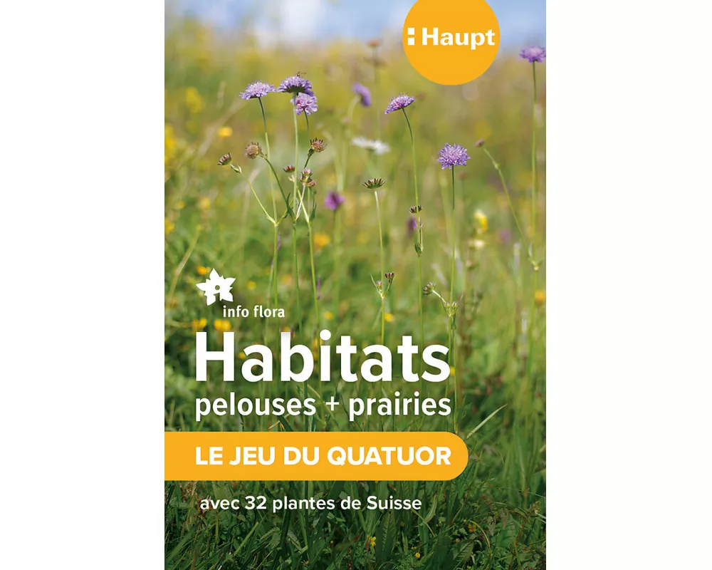 Habitats pelouses et prairies – le jeu du quatuor