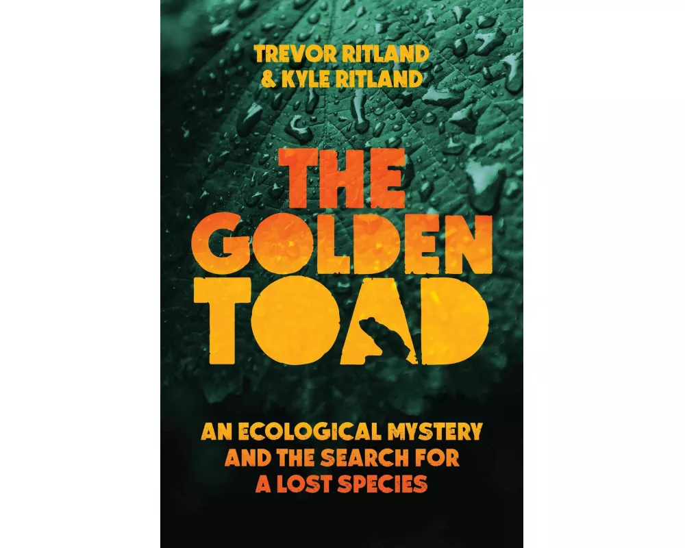 The Golden Toad