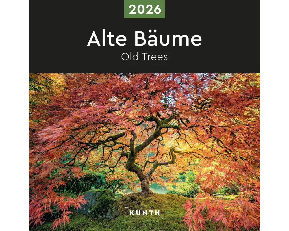 Alte Bäume - KUNTH Broschurkalender 2026