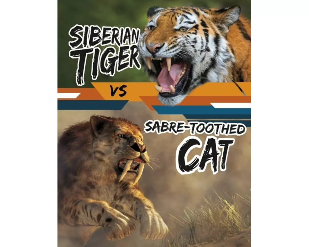 Siberian Tiger vs Sabre-Toothed Cat