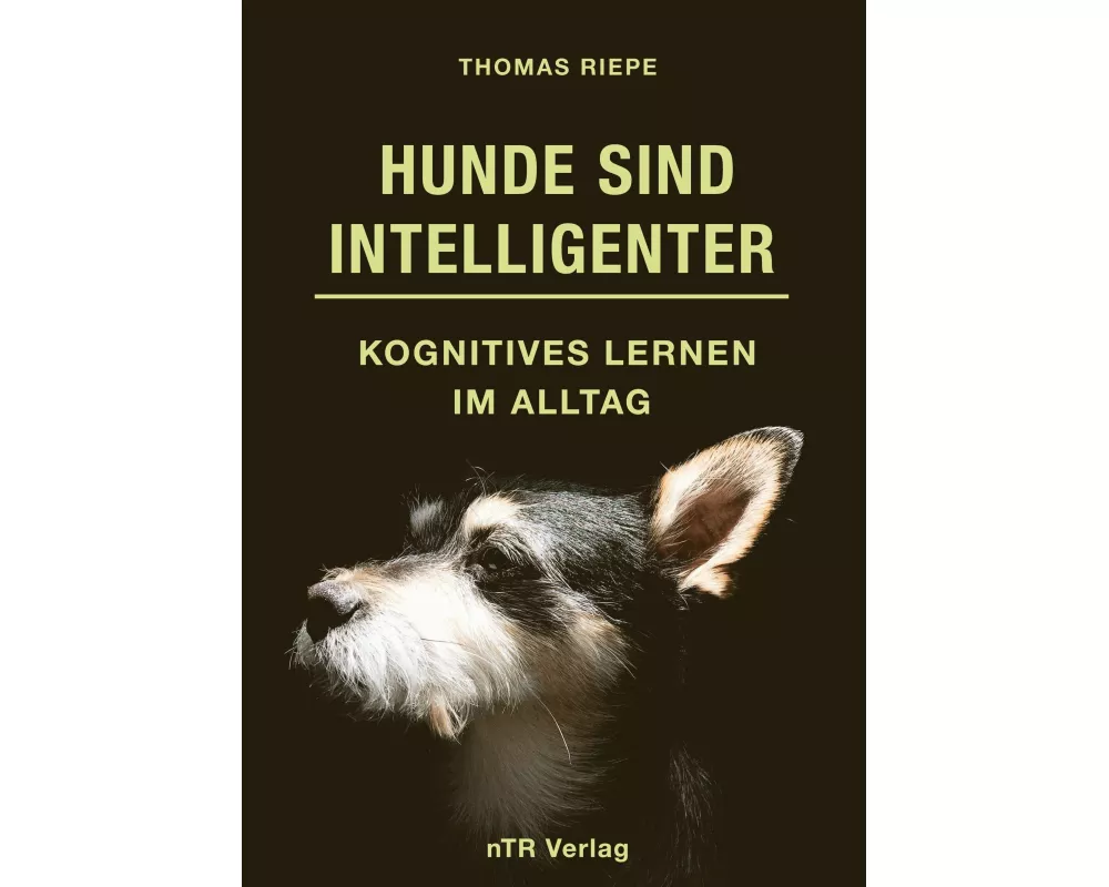 Hunde sind Intelligenter