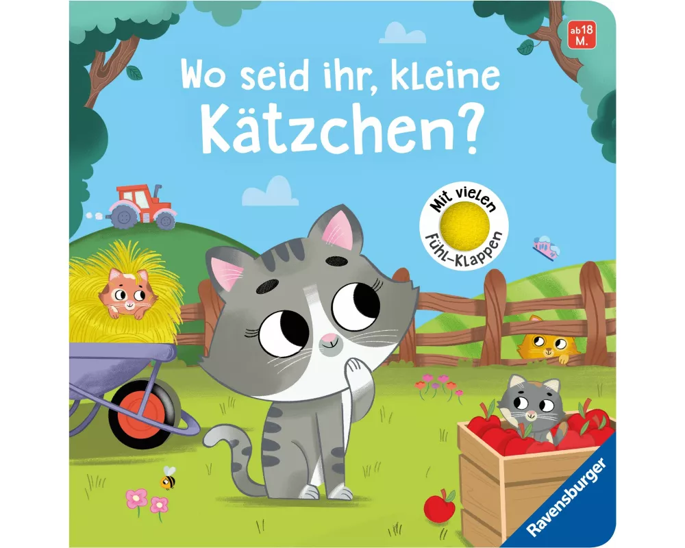 Wo seid ihr, kleine Kätzchen?