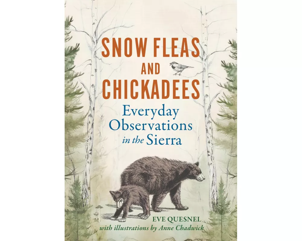 Snow Fleas and Chickadees