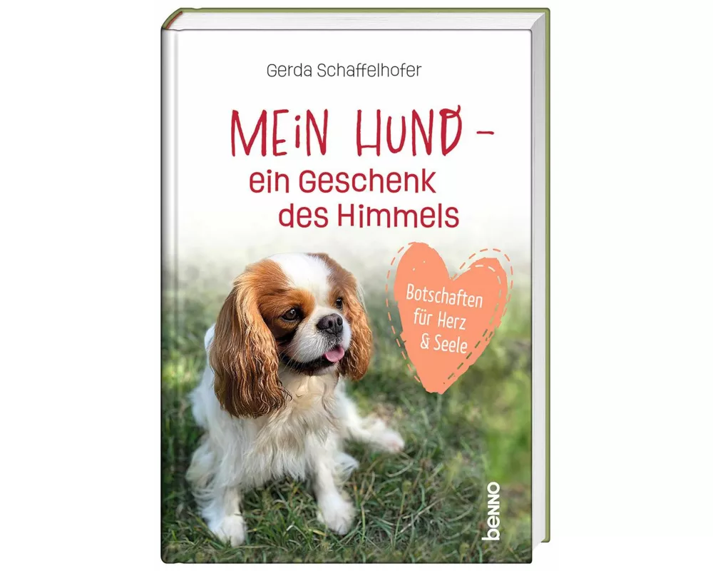 Mein Hund - ein Geschenk des Himmels