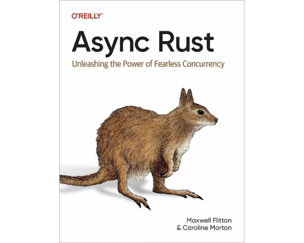ASYNC Rust