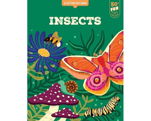 Lift the Fact: Insects