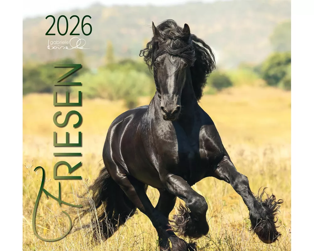Friesen 2026