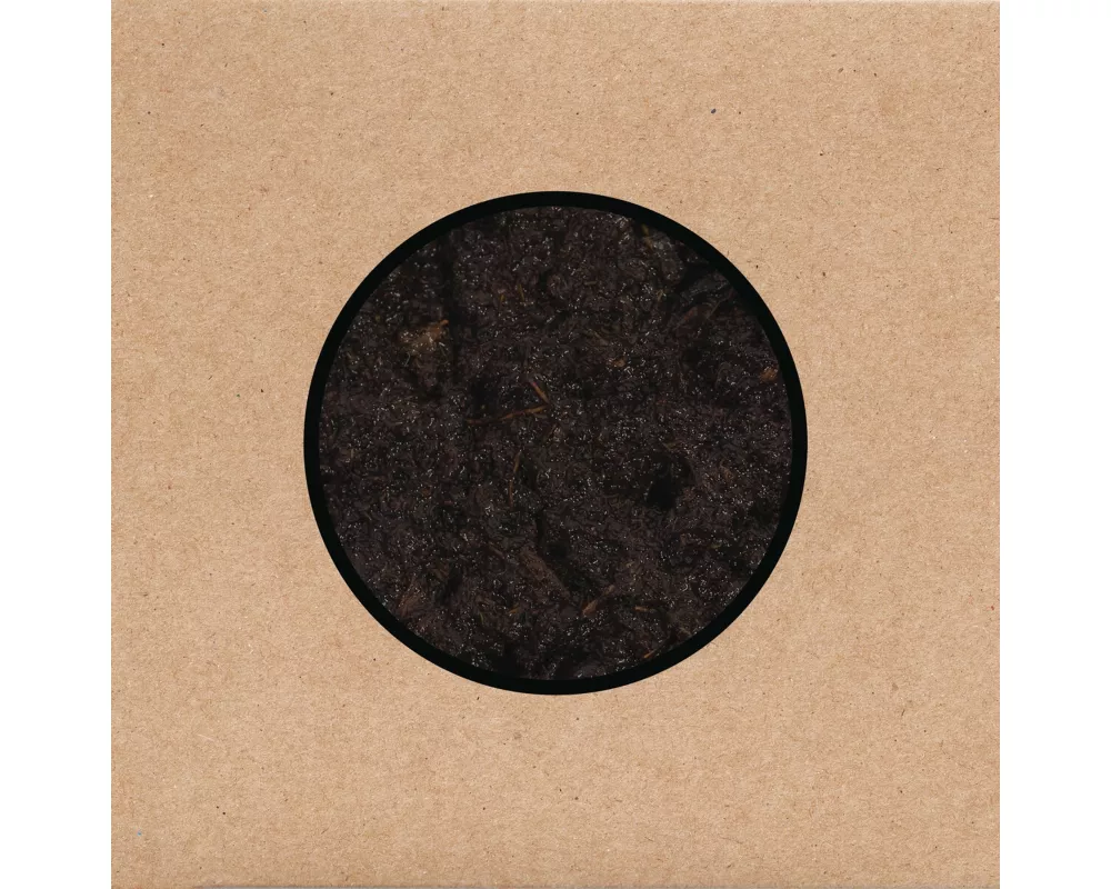 Birthing (Ltd. 2CD+DVD)