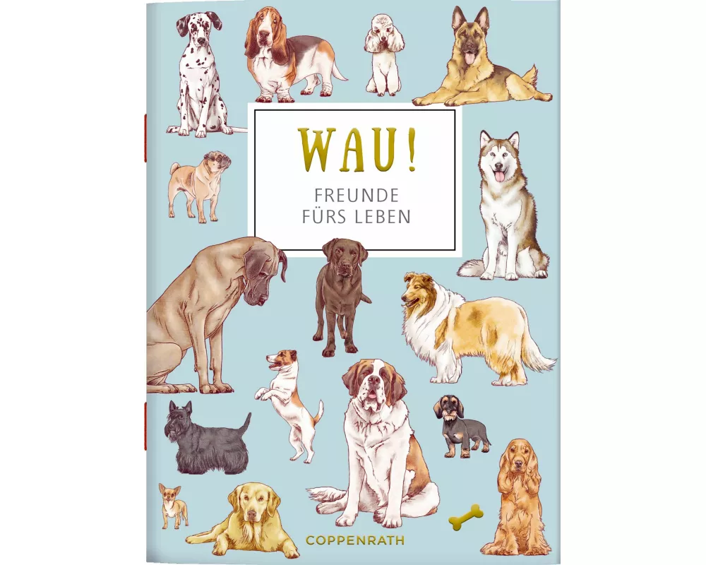 WAU! - Freunde fürs Leben