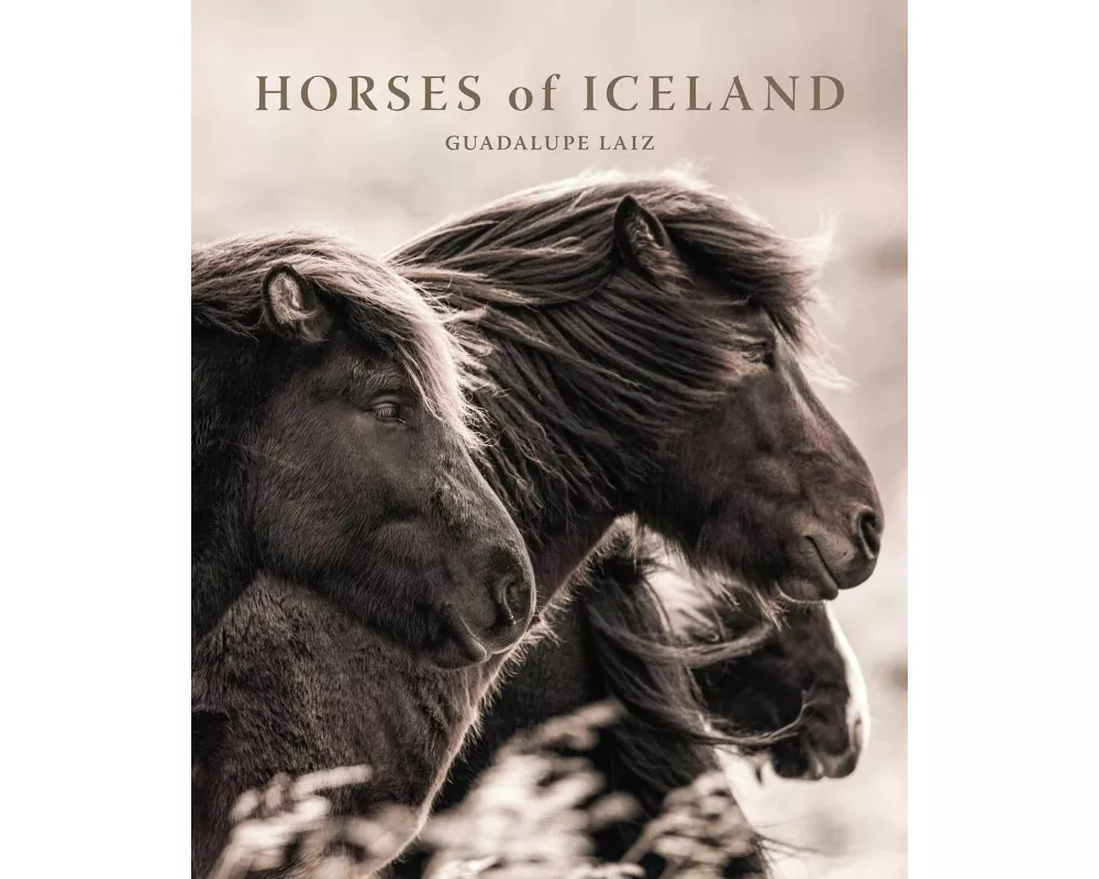 Horses of Iceland