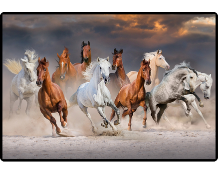 HANSA Schreibunterlage 50x34cm 41-6000.082 Pferd