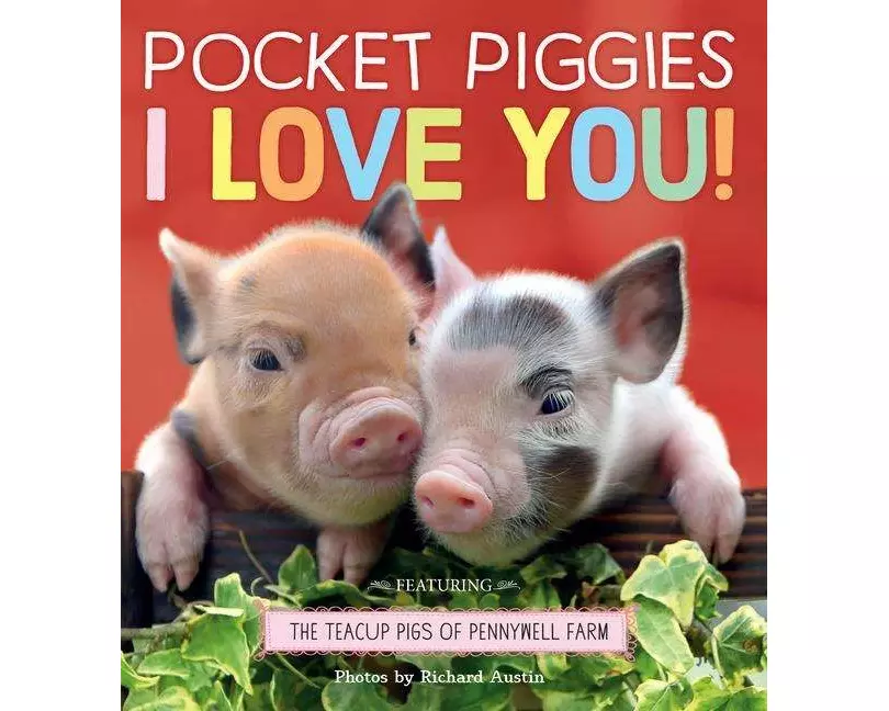 Pocket Piggies: I Love You!