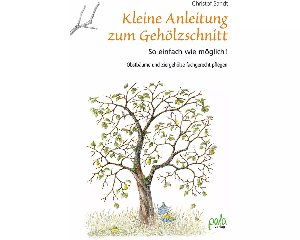 Kleine Anleitung zum Gehölzschnitt