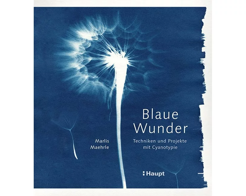 Blaue Wunder - Techniken und Projekte mit Cyanotypie