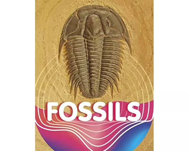 Fossils