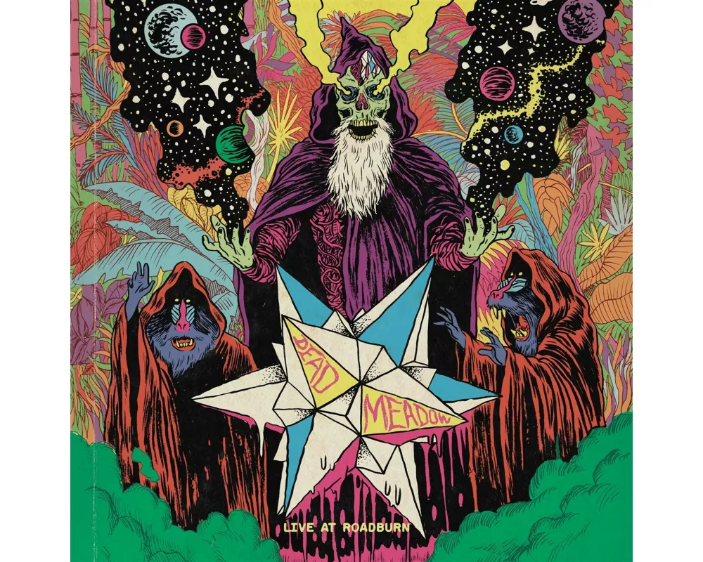 Live At Roadburn 2011