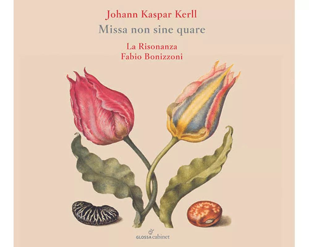 Missa non sine quare