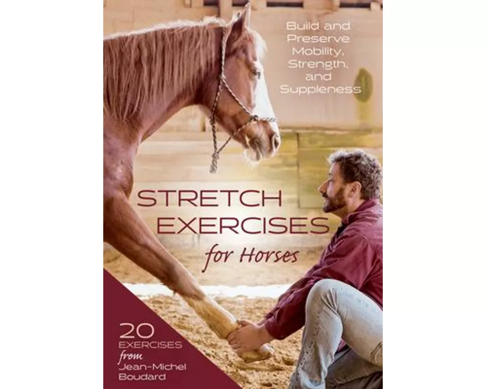 Stretch Exercises for Horses
