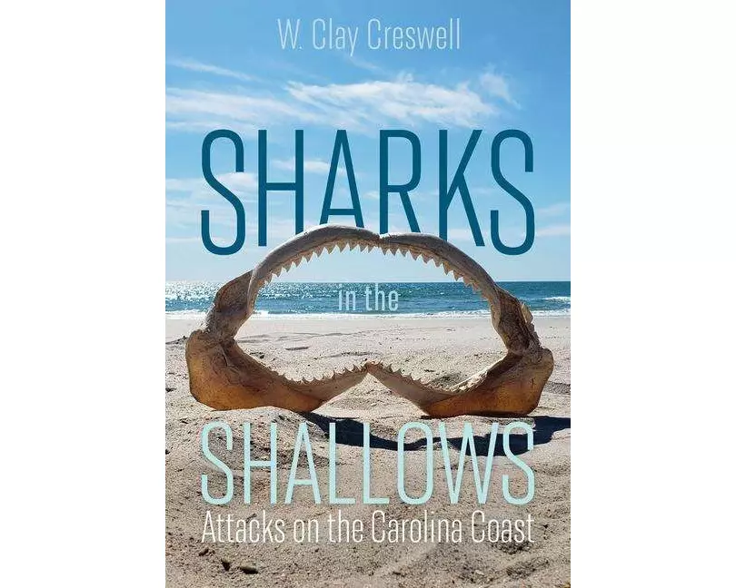 Sharks in the Shallows